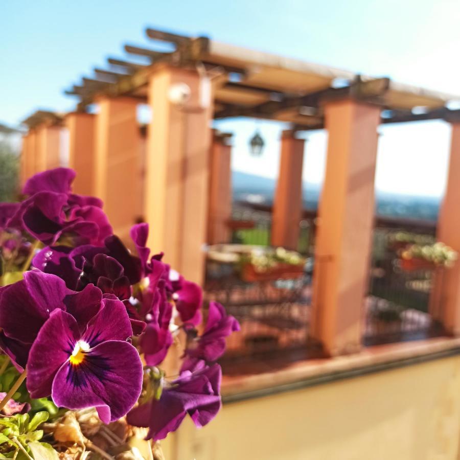 Domus Volumnia Country House Perugia Dış mekan fotoğraf